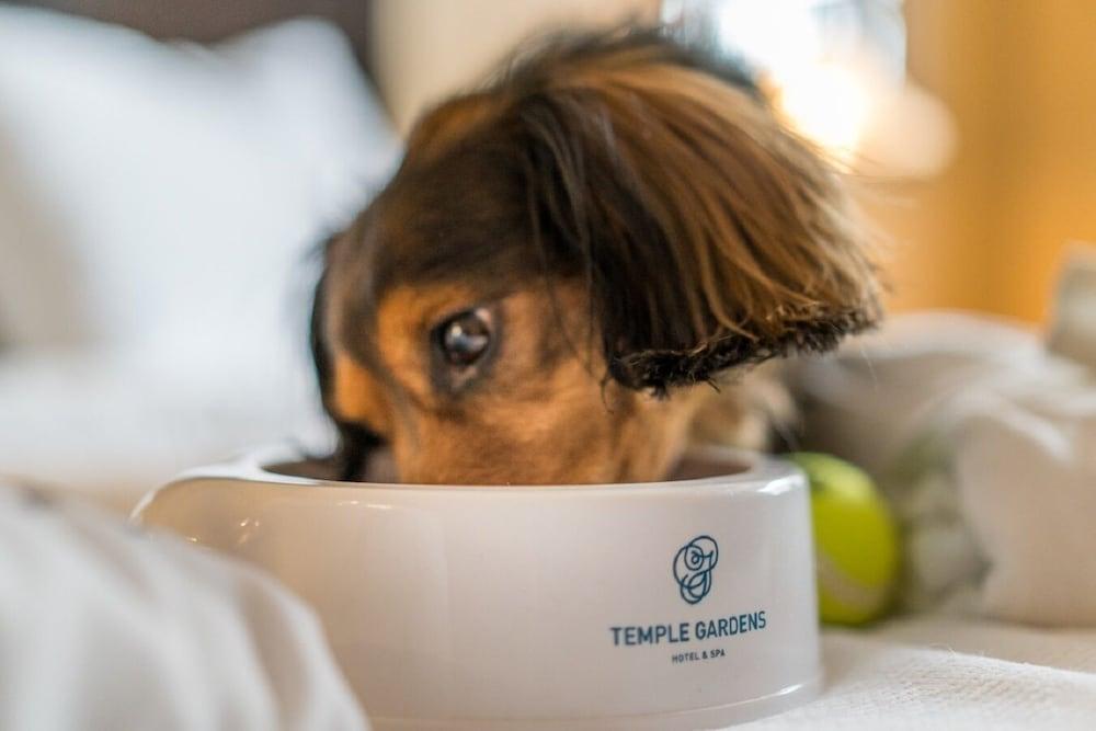 Temple Gardens Hotel & Spa ムースジョー エクステリア 写真